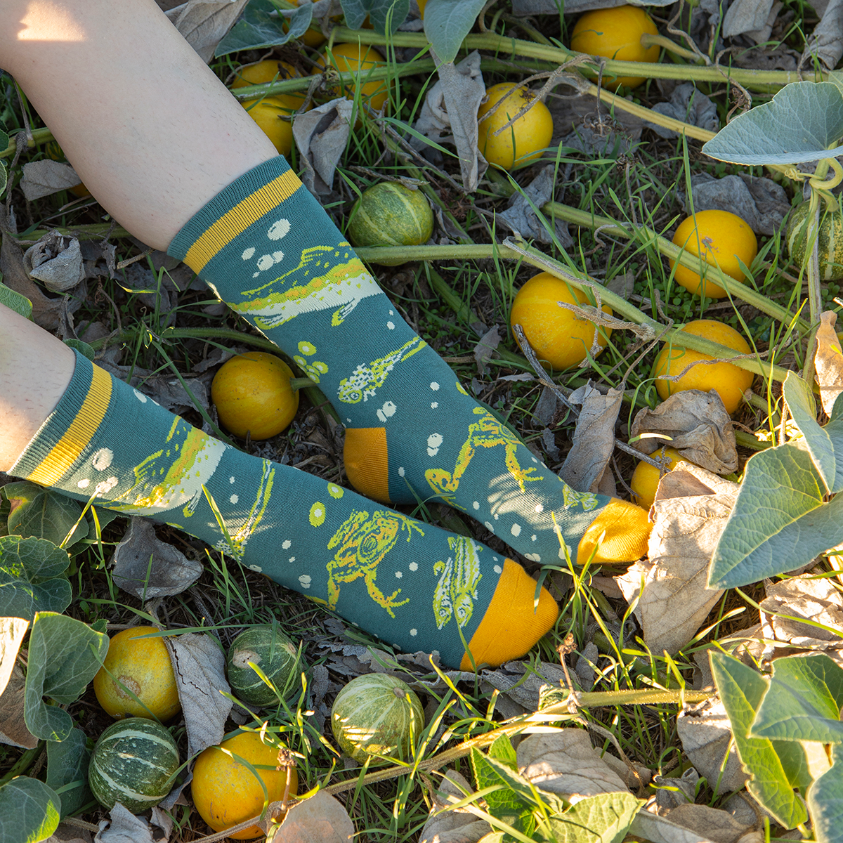 Mustard Beetle Crew Socks: Malibu Creek for CalTrout