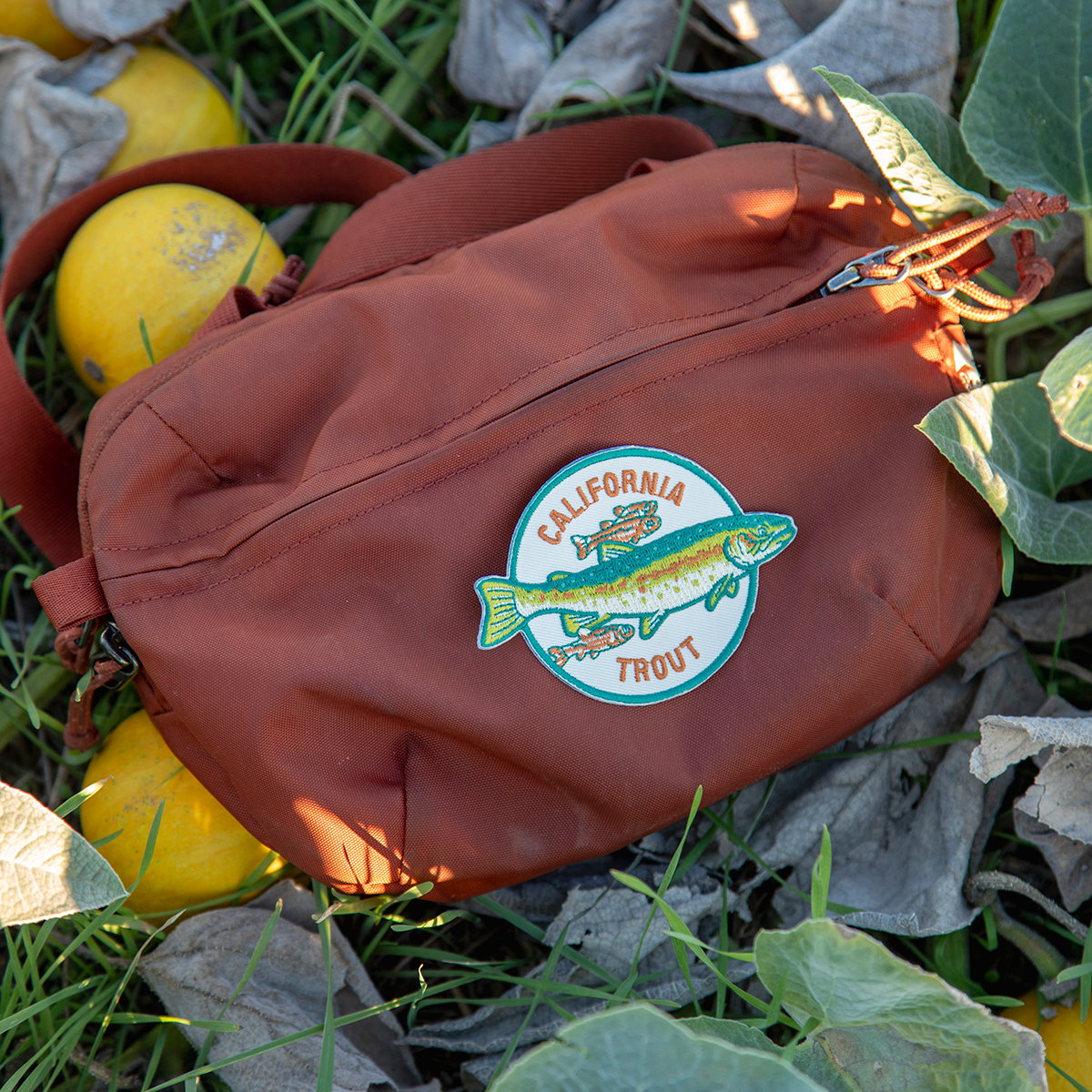 Mustard Beetle Iron on Patch: Steelhead & Arroyo Chub for CalTrout